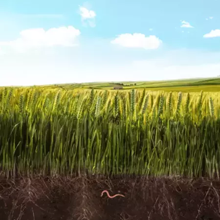 Vers une Agriculture Raisonnée et Durable