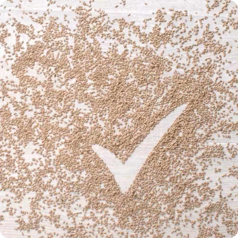 BENEFITS OF whole grain - Nutritious