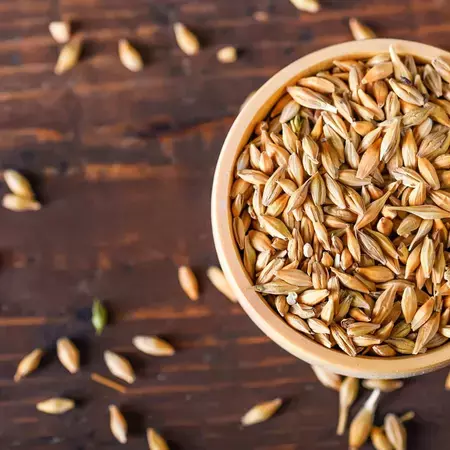 Whole Grain Foods Header