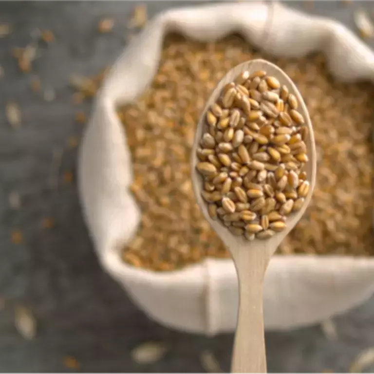 Our Renovation Journey to Make Breakfast Better