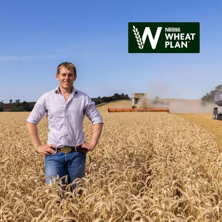 Ian Matts Wheat Plan standing in a field